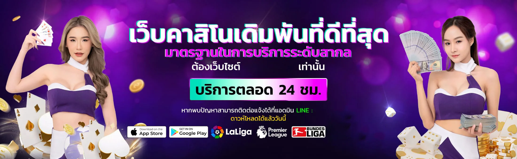 bp6689 banner